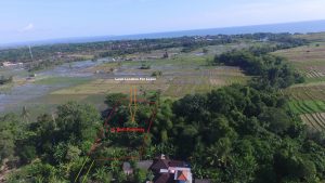 Land For Lease tanahlot