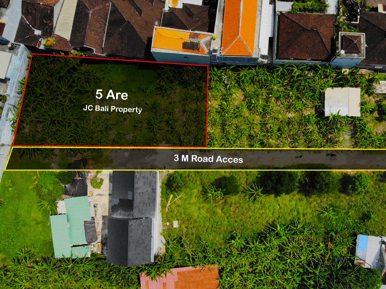 land for lease canggu 5 ara land cangggu